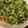 クックえみりん☆'s cooksnap of when they made 夏の定番！きゅうりの中華クラゲ和え.