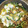 M130018's cooksnap of when they made 簡単！！ごーやちゃんぷる～.