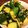 ゆづゆうママ's cooksnap of when they made 給食の味！たたききゅうり.