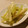 3life's cooksnap of when they made おつまみに♪セロリのからし酢和え.