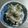 クックLJ2W4Q☆'s cooksnap of when they made 簡単☆生タコの皮とワカメの醤油マヨ和え.