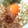 おせち's cooksnap of when they made ひとりのお昼に、釜玉うどん.