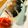 チャックねこ☆'s cooksnap of when they made 絶品！　炙りしめさば寿司.