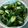 クックOROVI2☆'s cooksnap of when they made 簡単でしょ！ヤミツキきゅうり.