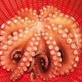 マオリノモリ's cooksnap of when they made 生タコの茹で方 楽々！下処理.
