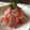 ゆみクローバー's cooksnap of when they made 新たまねぎとハムのマリネ.