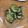 i_yokan's cooksnap of when they made きゅうりの塩昆布漬け.
