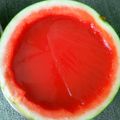 ラクシュミーバドリー's cooksnap of when they made お砂糖なし！ぷるりん丸ごとスイカゼリー.