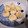 airi777's cooksnap of when they made もちっと簡単ポンデケージョ☆.