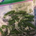 aspupu's cooksnap of when they made ★冷凍保存★スナップえんどう.