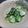 ジョングレ's cooksnap of when they made ✿オクラきゅー塩昆布和え✿.