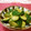 赤い電話's cooksnap of when they made きゅうりの中華漬け.