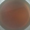 ☆黒ねこ☆'s cooksnap of when they made ●簡単１：１：１☆基本の麺つゆ＆白だし●.