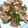 しゅんぺいのママ's cooksnap of when they made 豚肉とピーマンのソース炒め.