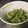 ぢょりた's cooksnap of when they made ゴーヤの胡麻和え.