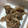 えいぞうじいさん's cooksnap of when they made 乾燥ごぼうで簡単牛のしぐれ煮.