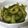 クックBKZOX9☆'s cooksnap of when they made ゴーヤの梅おかか和え.