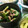 seacomet's cooksnap of when they made ゴーヤとツナの梅和え.