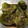クックBZTVUP☆'s cooksnap of when they made 丸ごとピーマンの焼き浸し.