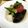 ゆかちゃん♡'s cooksnap of when they made ナス、オクラ、トマトのお浸し（煮浸し）.
