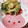えりりんちゃん♡'s cooksnap of when they made 簡単!芝エビとセリDEサクサクかき揚げ♪.
