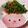 えりりんちゃん♡'s cooksnap of when they made 【酒菜】豆苗・アスパラ・海鮮・ＸＯ醤炒め.