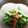 ちゅーりっぷママ☆'s cooksnap of when they made ゴーヤーと玉ねぎの酢の物.