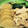 mametamu's cooksnap of when they made 失敗しない！豚ばら大根のかんたん煮.