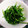 クック9XS3YJ☆'s cooksnap of when they made ✿ピーマンは生が一番！ごま塩昆布和え✿.