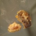 クックBNQ5PD☆'s cooksnap of when they made 残った天婦羅は冷凍して味噌汁や天丼や弁当.