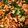 RYOCO∞'s cooksnap of when they made 豚ひき肉ニラそぼろ丼.
