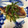 クックZJFWVJ☆'s cooksnap of when they made から揚げ粉で簡単☆白身魚のムニエル.