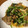 rahane's cooksnap of when they made エリンギと小松菜炒め.