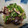 nancy525's cooksnap of when they made やみつき！トロトロなすといかのしょうが煮.