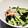☆yopipi's cooksnap of when they made かにかまとわかめのまろやか酢の物.