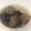 クック88OPFH☆'s cooksnap of when they made 板こんにゃくときくらげのごましょうが和え.