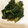 ハフリンガー♡'s cooksnap of when they made つるむらさきのおひたし.