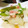 みのるぽん's cooksnap of when they made さやえんどうと新玉ねぎの炒め物.
