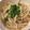 料理ニガテ系女子☆'s cooksnap of when they made サッと一品♪もやしのとろ～りツナあん.