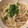 料理ニガテ系女子☆'s cooksnap of when they made サッと一品♪もやしのとろ～りツナあん.