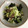 tokkim's cooksnap of when they made 店主に教わったイワシ缶の簡単な肴.