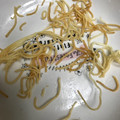o0oあやかo0o's cooksnap of when they made 素麺残ったら☆揚げそうめん.