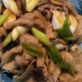 cyberdino's cooksnap of when they made 完全再現 伝説のすた丼のようなもの.