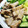 もいこ196482's cooksnap of when they made 簡単おいしい♪豚の味噌漬け.