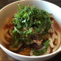 Sun Flover's cooksnap of when they made 超簡単！茄子とツナの冷やしうどん.