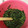 みい介's cooksnap of when they made モロヘイヤと海苔の和えもの.