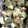 yui0301's cooksnap of when they made アボカドときゅうりのスタミナ梅マヨ和え.