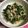 Kキロ's cooksnap of when they made モロヘイヤとシーチキンの炒め物.