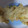まゅ＠たん's cooksnap of when they made 大人気☆鮭のみそマヨネーズ焼き.