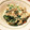 クック215EN2☆'s cooksnap of when they made 優しい甘みと香ばしさ！ほうれん草の白和え.